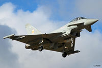 ZJ928 photo, click to enlarge ZJ928 photo, click to enlarge