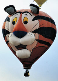 N496GT - Lifting off at the 1996 Albuquerque Balloon Fiesta. - by kenvidkid