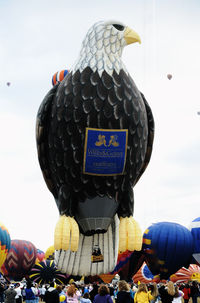 N6164Z - Lifting off at the 1996 Albuquerque Balloon Fiesta. - by kenvidkid