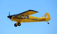 N460JC @ KOSH - Aviat A-1B - by Mark Pasqualino