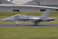 168930 photo, click to enlarge