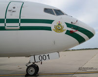 5N-FGT @ DOV - Visiting Dover AFB DE.