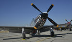 N251BP @ KCNO - On display at the Planes of Fame Airshow - by Todd Royer
