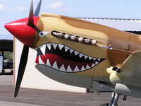 N85104 @ MAN - Nose paint. - by Gerald Howard
