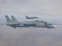 3-6062 - F-14 tomcat 3-6062 air refuelling. 
Air craft was crashed on 26 jan 2012 ( believed being shot down by IRGC's M1 defence system (friendly fire)). - by unknown