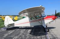 N5966H @ KBUU - Piper PA-16 - by Mark Pasqualino
