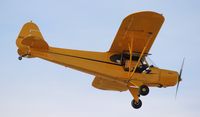 N3331N @ LAL - J3C Cub - by Florida Metal