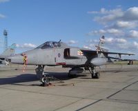 XZ398 - Families Day RAF Coltishall