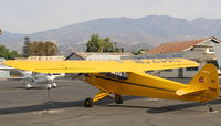 N20815 @ SZP - 1938 Piper J3F-60 CUB, Franklin 4AC150-A 60 Hp, a rarity - by Doug Robertson