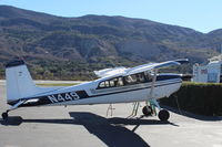 N449 photo, click to enlarge