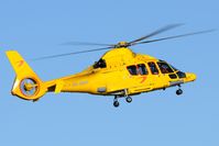 OO-NHP @ EGSH - Return Visitor. - by keithnewsome