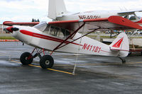 N41181 @ PALH - lake hood - by Jeroen Stroes