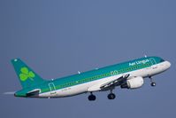 EI-DEH @ EGCC - At Manchester - by Guitarist