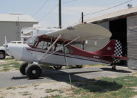 N4369C @ KRIR - Locally-based 1956 Champion 7EC with  big tires @ iconic Flabob Airport, Riverside, CA - by Steve Nation