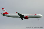 OE-LBB photo, click to enlarge OE-LBB photo, click to enlarge