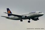 D-AIPL @ EGLL - Lufthansa - by Chris Hall