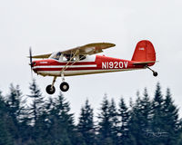 N1920V @ KAWO - KAWO - by Terry Green