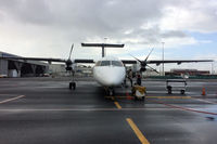 ZK-NEC photo, click to enlarge