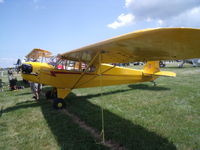 N29042 @ OSH - Piper J3 ''F'' Variant - by Christian Maurer