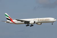 A6-EGO photo, click to enlarge A6-EGO photo, click to enlarge