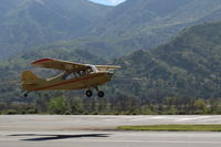 N84171 @ SZP - 1946 Aeronca 7AC CHAMPION, Continental A&C65 65 Hp, another takeoff climb Rwy 22 - by Doug Robertson