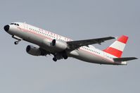 OE-LBP photo, click to enlarge