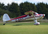 G-BRDJ @ EGHP - Luscombe 8F Silvaire at Popham. Ex N71984 - by moxy