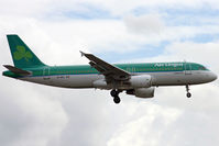 EI-DVL photo, click to enlarge EI-DVL photo, click to enlarge