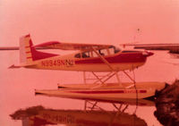N9949N @ KHUM - When the aircraft was used to support the oil industry down in Louisiana, photo taken 1975... a dollie boy backed her into the leading edge of another 180 and bent the rudder, Was waiting on the next 100 hr to have it painted...Was a fun aircraft to fly - by Don Enlow