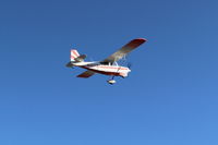 N1603G photo, click to enlarge