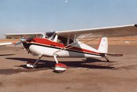 N89064 - Stellar airport Chandler, Arizona   1/14/1981 - by Mort Simmonds