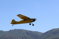 N2390D @ SZP - 1952 Cessna 170B, Continental C-145 145 Hp, takeoff climb Rwy 22 - by Doug Robertson
