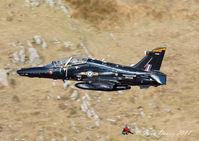 ZK034 - Hawk captured at Bwlch Oerddrws.