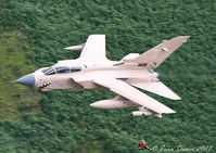 ZG750 - Pinky