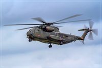 84 82 @ EDDR - CH-53GE - by Jerzy Maciaszek