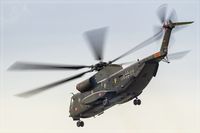 84 82 @ EDDR - CH-53GE - by Jerzy Maciaszek
