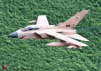 ZG750 - Pinky