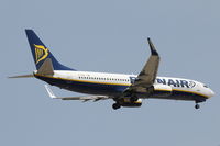 EI-DAE photo, click to enlarge EI-DAE photo, click to enlarge
