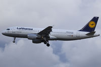 D-AIZO photo, click to enlarge