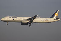 D-AIRR photo, click to enlarge