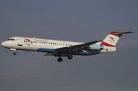 OE-LVO photo, click to enlarge