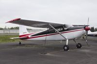 N180TN @ KPAE - 1956 Cessna 180 - by Eric Olsen