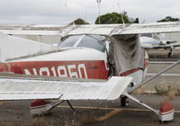N21950 @ KRHV - Locally based 1975 Cessna 172M rotting on the ramp at Reid Hillview Airport, San Jose, CA. - by Chris Leipelt