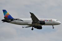 LY-ONL photo, click to enlarge