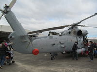NZ3616 @ NZAR - popular attraction - by magnaman