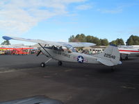 ZK-DAJ @ NZAR - bird dog? - by magnaman