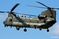 ZD575 photo, click to enlarge ZD575 photo, click to enlarge