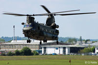 ZD575 photo, click to enlarge ZD575 photo, click to enlarge