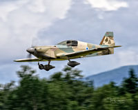 N191PZ @ KBVS - Skagit Regional Airport - by Terry Green