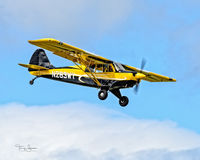 N263WY @ KAWO - KAWO - by Terry Green